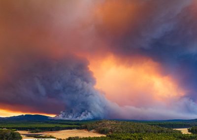 Storm & Bushfire Preparation Checklist: 6 Essential Steps to Get Your Home Ready